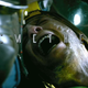 Illustration for article titled Frame-by-Frame Breakdown of the emPrometheus/em Trailer: Who Is That Man?